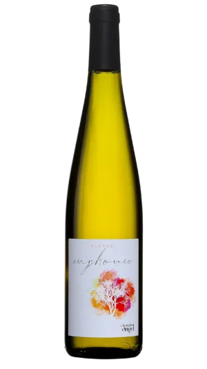 Les frères Engel, Euphonie